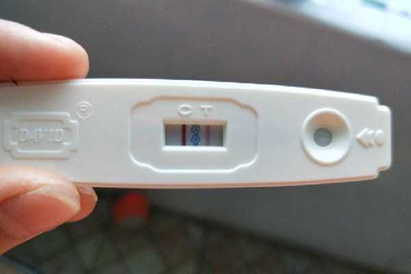 可丽蓝两个框显示左边一横右边一竖是怀孕了吗